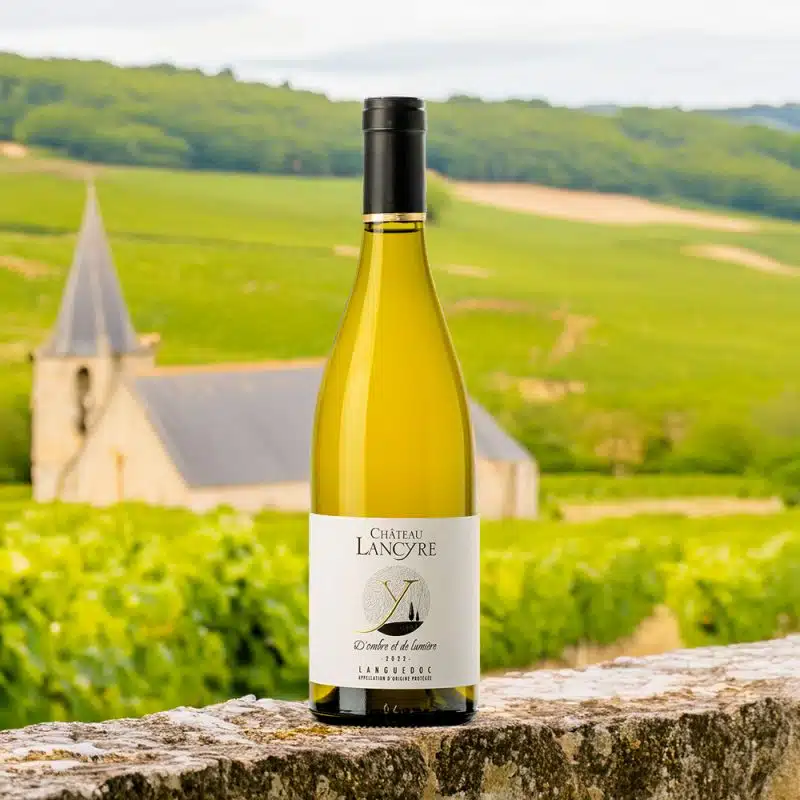 D'ombre et de lumière-2020-0.75L-CRD